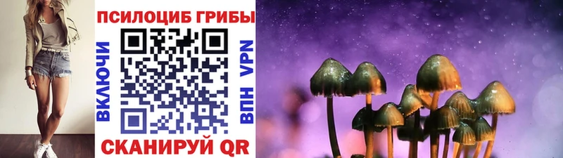 Галлюциногенные грибы Psilocybe Наволоки