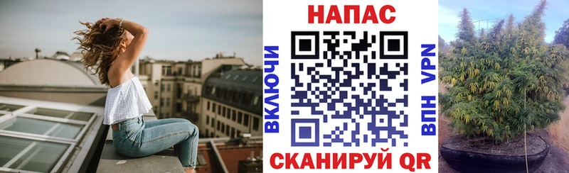 закладки  Наволоки  Бошки марихуана семена 